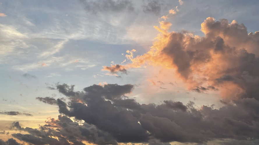 MIA_2023-08-12 20-01-53_DANI_IMG_E5243